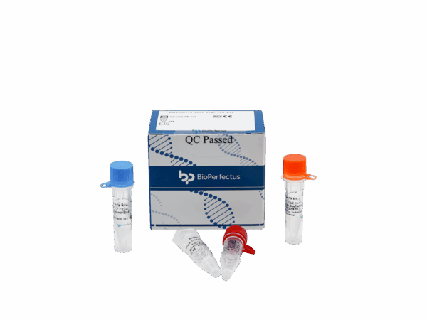 Kit de PCR em tempo real de Bartonella