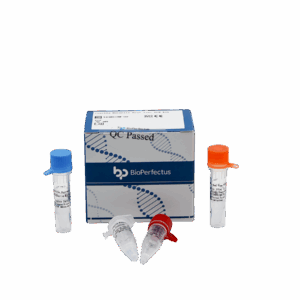 Kit PCR de Coxiella Burnetii em tempo real