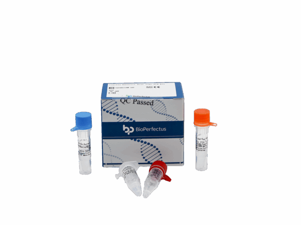 Kit PCR de Coxiella Burnetii em tempo real