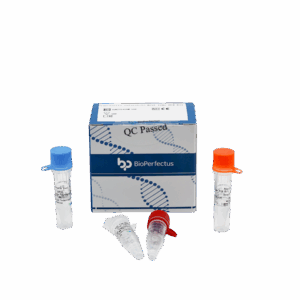 Francisella tularensis Kit de PCR em tempo real