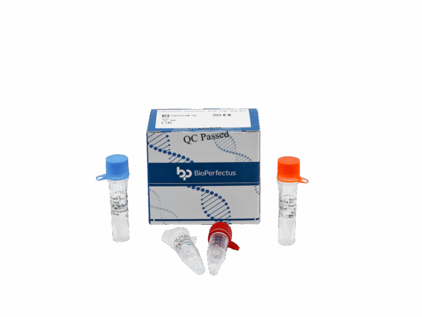 Francisella tularensis Kit de PCR em tempo real