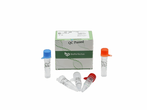 Influenza B Virus (Victoria & Yamagata) Kit de PCR em tempo real