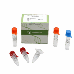 Painel de bactérias respiratórias Allfastra (7) Kit de PCR em tempo real