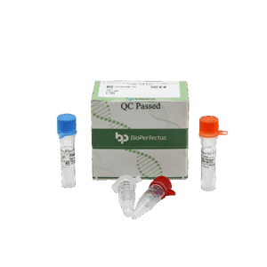 Painel de bactérias respiratórias Allfastra (3) Kit PCR em tempo real
