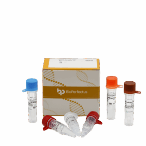 Kit de PCR de CoxA16 & EV71 em tempo real