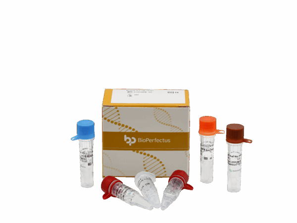 Kit de PCR Salmonella Typhi/Salmonella Paratyphi em tempo real