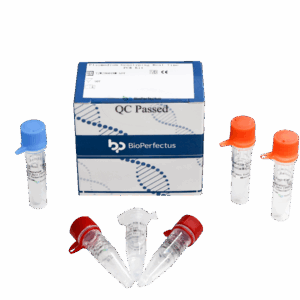 Kit de PCR em tempo real Plasmodium genotipagem