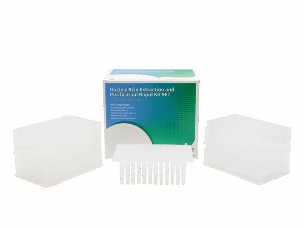 Kit Rápido de Extração e Purificação de Ácido Nucleico 96T (Método Magnético de contas)