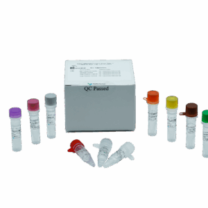 Kit de RT-PCR Quantitative HIV-1 (RUO)