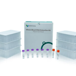 Kit de Extração de DNA de Sangue (Método Magnético de Conta)