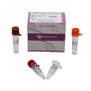 Kit de PCR Chlamydia Trachomatis em tempo real
