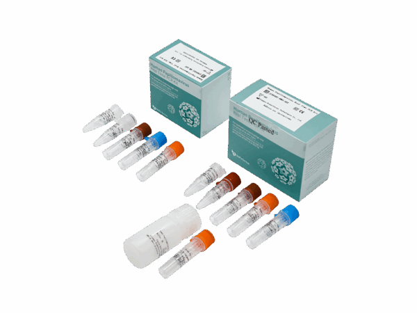 Kit de PCR de Papilomavírus em Tempo Real