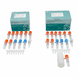 Kit de PCR de Papilomavírus Humano em Tempo Real