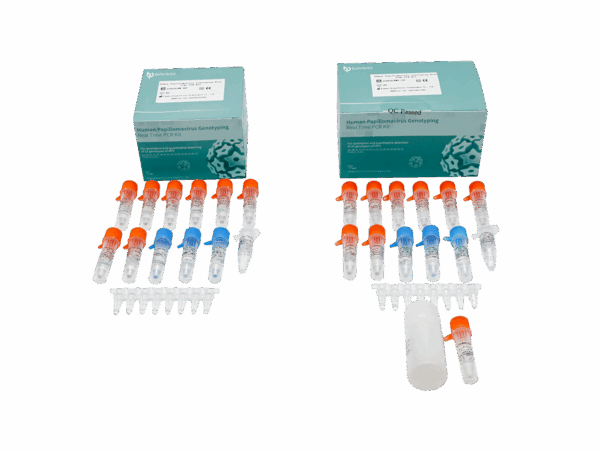 Kit de PCR de Papilomavírus Humano em Tempo Real