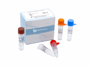 Kit de PCR vírus do Ebola em tempo real