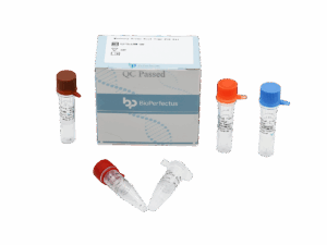 Vírus da Gripe Aviária (H5/H7/H9) Kit de PCR em tempo real