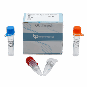 Kit de PCR de Jamox de Geografia em tempo real