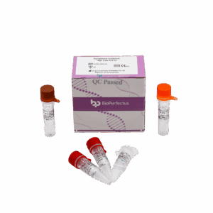 Treponema Pallidum Kit de PCR em tempo real