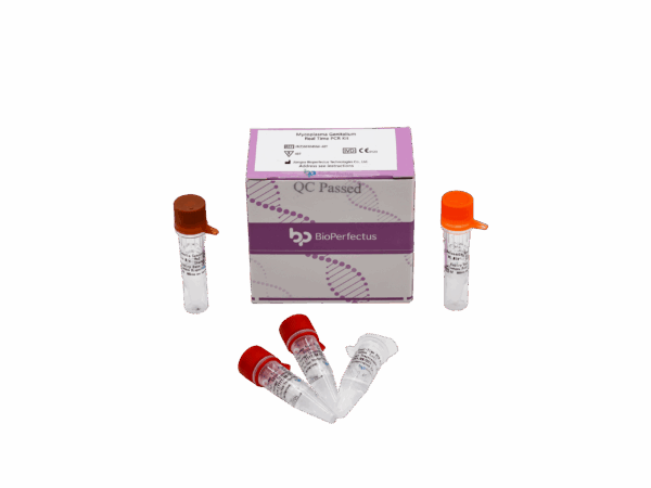 Treponema Pallidum Kit de PCR em tempo real