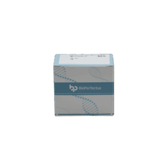 Kit de PCR de Bacillus anthracis em tempo real