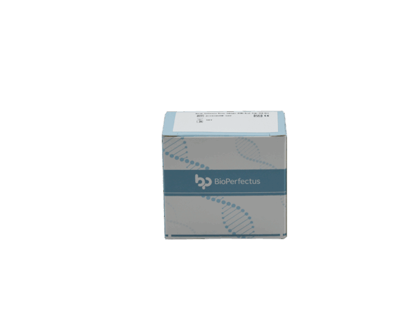 Kit de PCR de Bacillus anthracis em tempo real