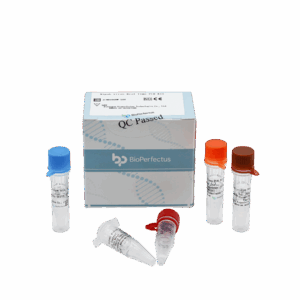 Kit de PCR de Inverno Nipah Vira em Tempo Real