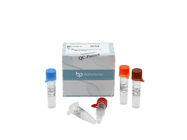 Kit de PCR de Lassa Fever Virus em Tempo Real