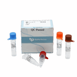 Kit de PCR do Vírus da Influenza Aviária
