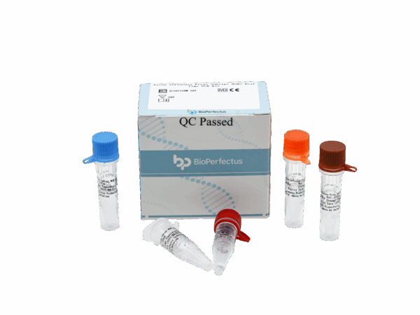 Kit de PCR do Vírus da Influenza Aviária