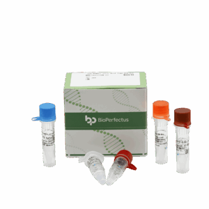 Kit de PCR Sin Nombre Virado em Tempo Real