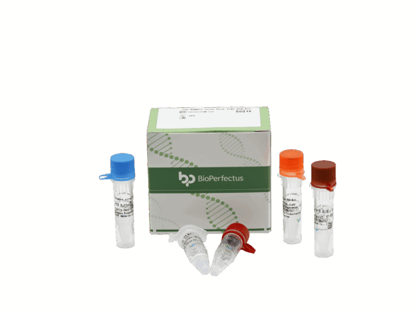 Kit de PCR Sin Nombre Virado em Tempo Real