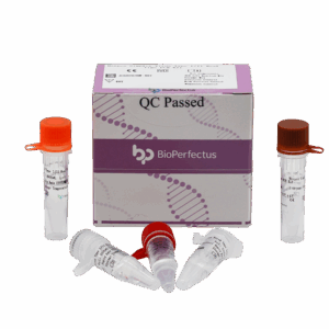 Kit de PCR do Herpes Simplex Virso em Tempo Real