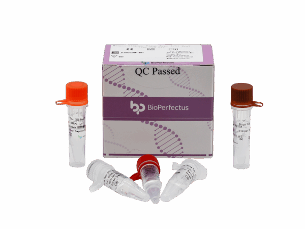 Kit de PCR do vírus Herpes Simplex Tipo I/II em tempo real