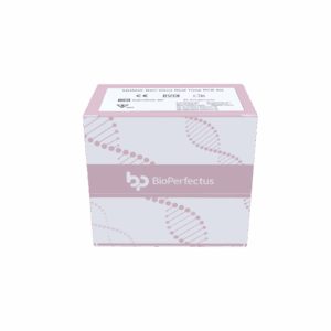 Epstein-Barr Vírus Quantitation Kit PCR em tempo real