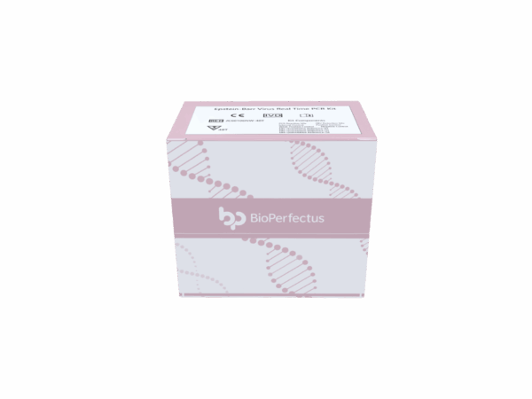 Kit de PCR de Quantitation Cytomegalovirus em tempo real