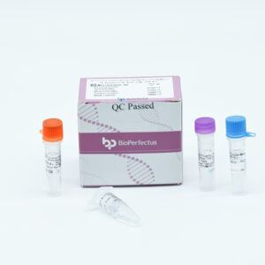 Neisseria Gonorrhoeae/Chlamydia Trachomatis/U. Kit de PCR Urealyticum em tempo real