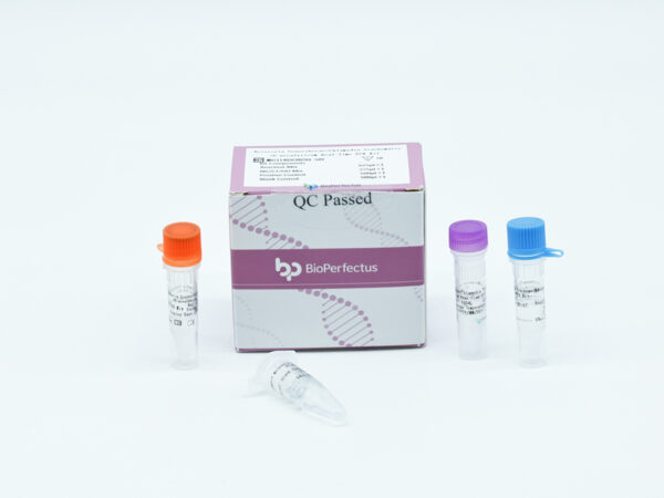 Neisseria Gonorrhoeae/Chlamydia Trachomatis/U. Kit de PCR Urealyticum em tempo real