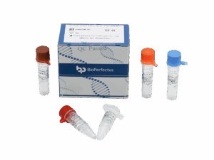 Vírus da Febre Amarela – Kit Real Time PCR